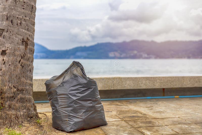 Duża plastikowa torba na śmiecie na chodniczku pod kokosowym drzewkiem palmowym blisko plaży zdjęcia stock Duża plastikowa torba na śmiecie na chodniczku pod kokosowym drzewkiem palmowym blisko plaży zdjęcia stock