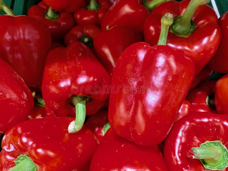 Dużo czerwony dzwonkowy pieprz w supermarkecie dla obiadowego składnika obrazy stock Dużo czerwony dzwonkowy pieprz w supermarkecie dla obiadowego składnika obrazy stock