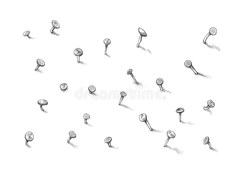 Lots of old nails that weren't hammered in properly on a white background. Lots of old nails that weren't hammered in properly on a white background