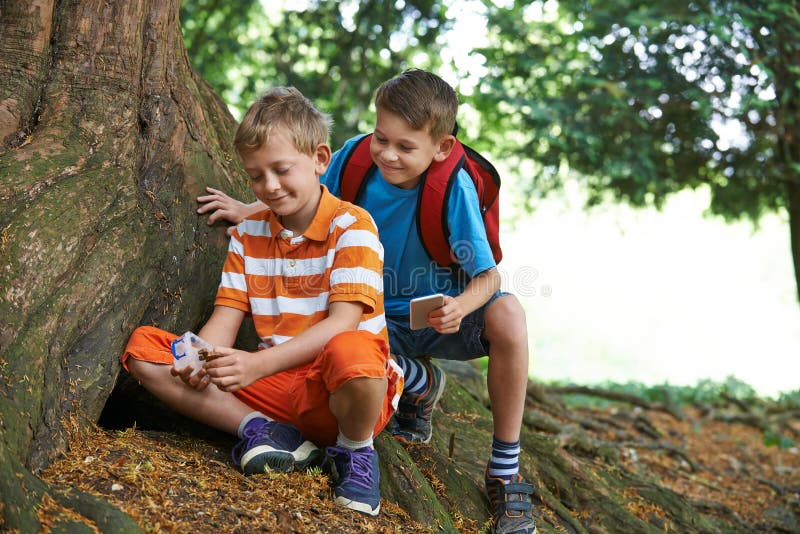 Dwa chłopiec Znajduje rzecz Podczas gdy Geocaching W lesie