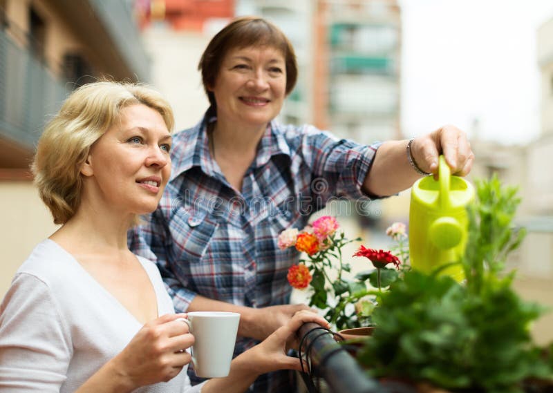 Two mature women drinking tea at terrace with decorative plants. Two mature women drinking tea at terrace with decorative plants