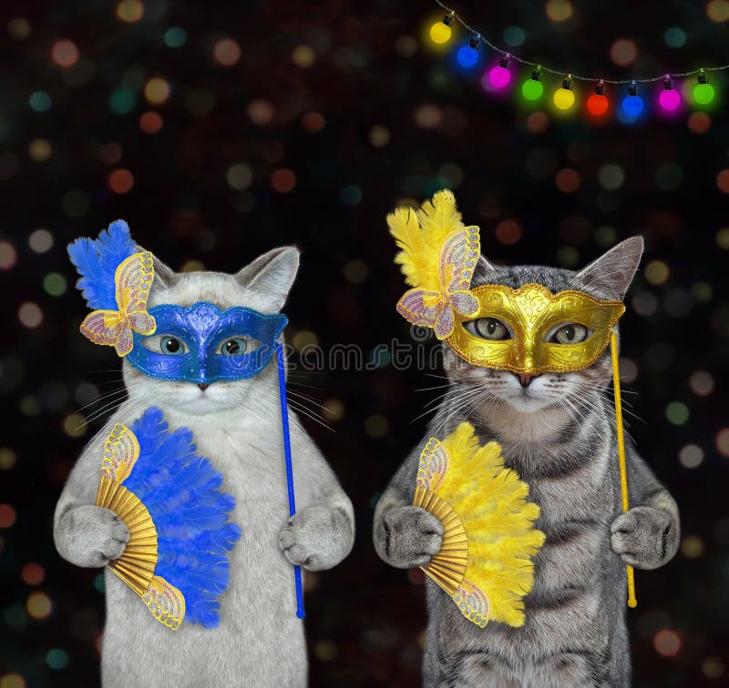 Two cats in carnival masks are having fun. Dark background. Two cats in carnival masks are having fun. Dark background