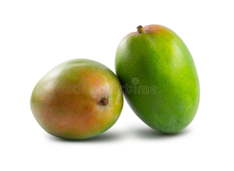 Dwa mango odizolowywaj?cy na bia?ym tle obrazy stock Dwa mango odizolowywaj?cy na bia?ym tle obrazy stock