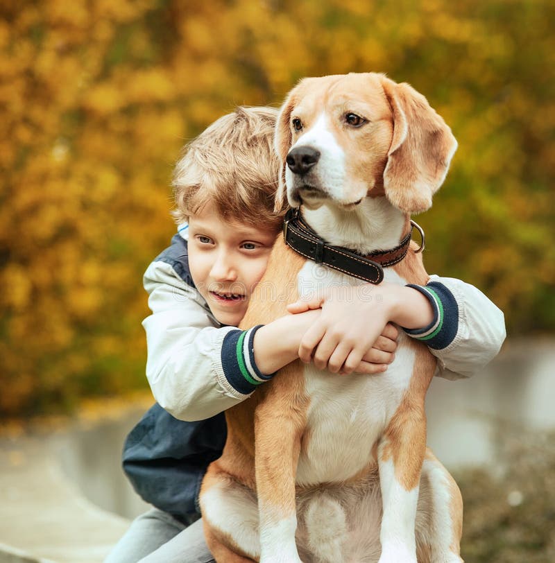 Dwa najlepszych przyjaciół portret - chłopiec ściska beagle psa obrazy stock Dwa najlepszych przyjaciół portret - chłopiec ściska beagle psa obrazy stock