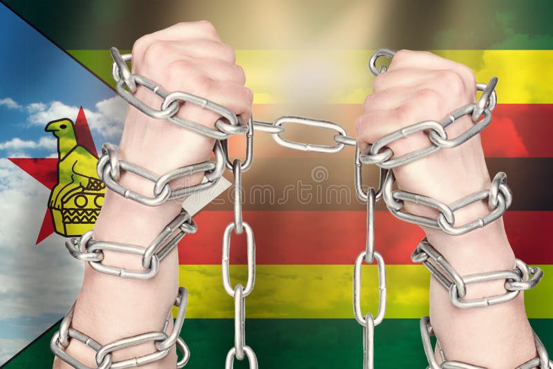 Dwa ręki zakuwać w kajdany metalu łańcuch na Zimbabwe fladze odizolowywaj? ca poj? cie czarny wolno?? fotografia stock