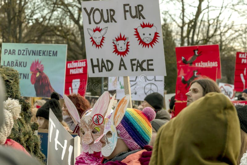 Riga, Latvia - November 30, 2019 : Two children in rabbit masks surrounded by people with Anti Fur placards and posters at Animal Rights Protest. March for Animal Advocacy in Europe, hug, rainbow, liberation, freedom, lover, face, activism, activist, movement, political, manifestation, protesters, rally, demonstration, marching, opposition, event, parade, sign, banner, red, baby, crowd, boy, girl, young, friend, youth, hand, abuse, against, cruelty, protection, hat. Riga, Latvia - November 30, 2019 : Two children in rabbit masks surrounded by people with Anti Fur placards and posters at Animal Rights Protest. March for Animal Advocacy in Europe, hug, rainbow, liberation, freedom, lover, face, activism, activist, movement, political, manifestation, protesters, rally, demonstration, marching, opposition, event, parade, sign, banner, red, baby, crowd, boy, girl, young, friend, youth, hand, abuse, against, cruelty, protection, hat