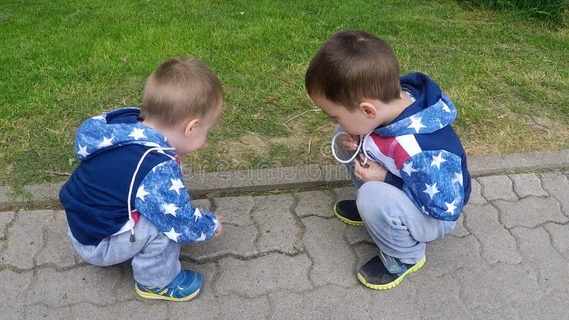 Dwoje młodych chłopców siedzi na chodniku latem i uważa życie owadów mrówek za koncepcję dzieci