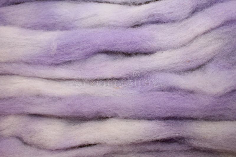 Dyed sheep wool roving stock image. Image of animals 86239853
