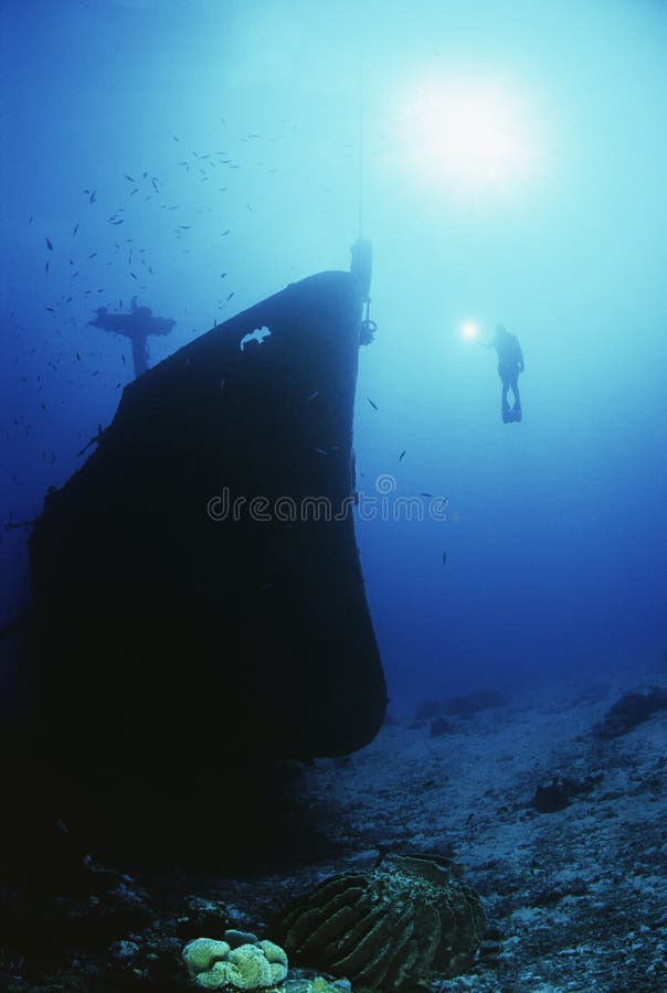 Dykare Exploring Sunken Ship arkivbilder Dykare Exploring Sunken Ship arkivbilder