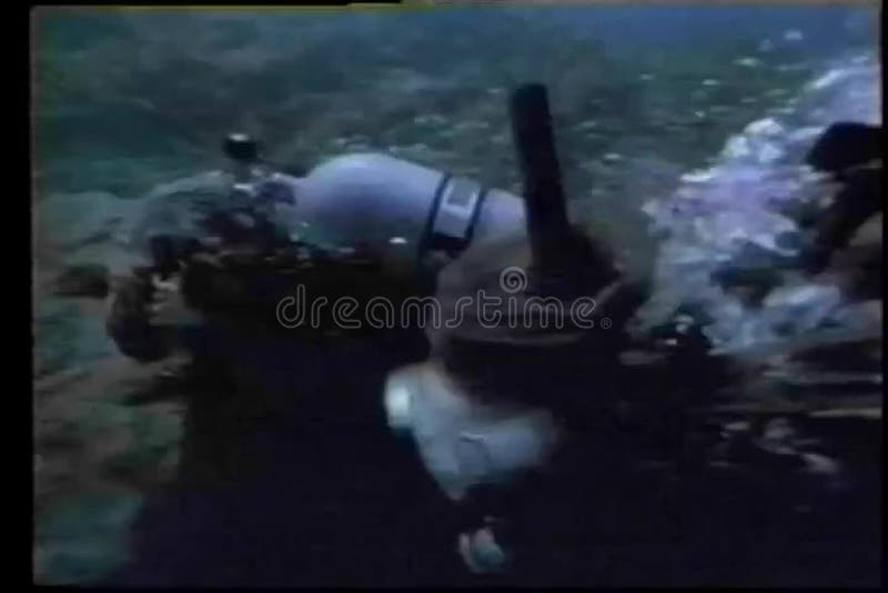 Dykare som undersöker sealife lager videofilmer