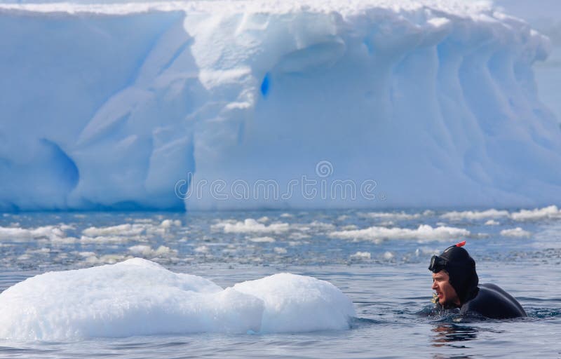 Diver on the ice against the blue iceberg. Antarctica. Diver on the ice against the blue iceberg. Antarctica