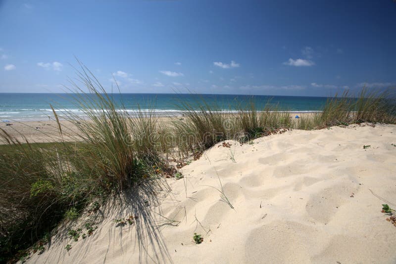 Dune royaltyfria foton