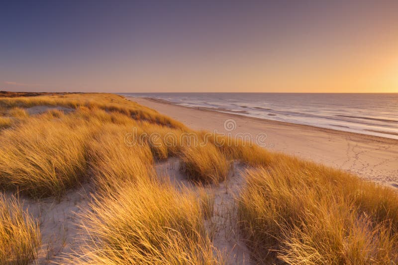 Dyn och strand på solnedgången på den Texel ön, Nederländerna royaltyfria foton Dyn och strand på solnedgången på den Texel ön, Nederländerna royaltyfria foton