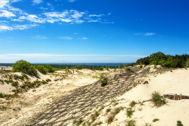 Dyn som skyddar träkonstruktion över sanden på naturligt, parkerar av Curonian spottar arkivfoto Dyn som skyddar träkonstruktion över sanden på naturligt, parkerar av Curonian spottar arkivfoto