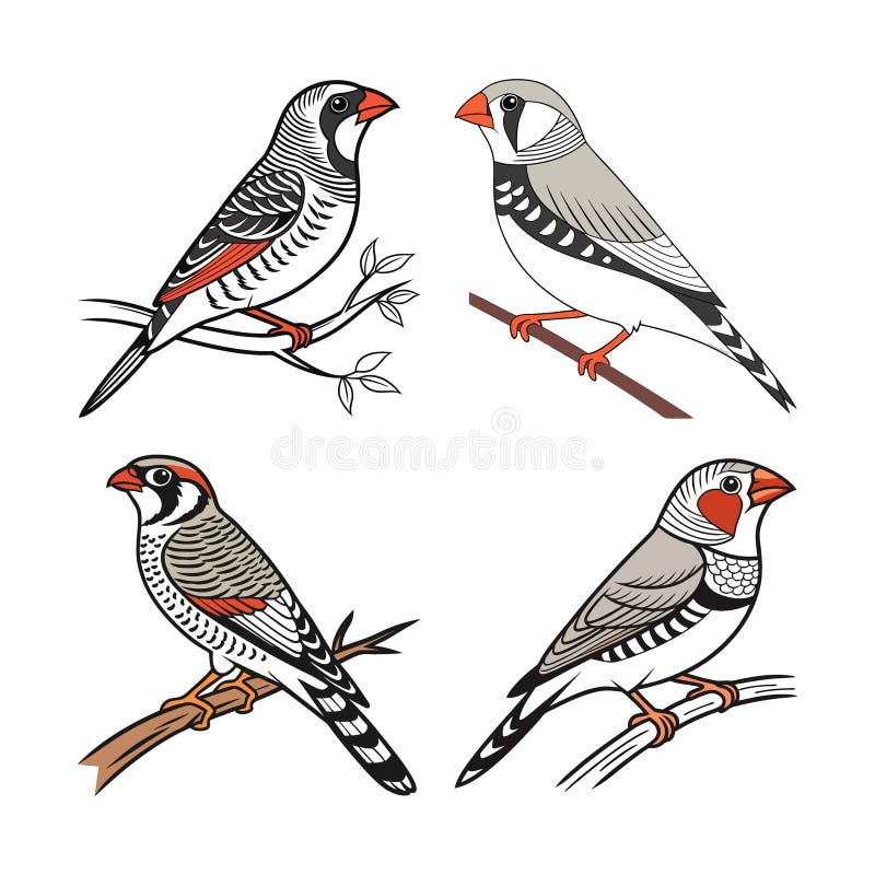 Dynamic Burchells Zebra Finch Bird Artwork stock illustrationer