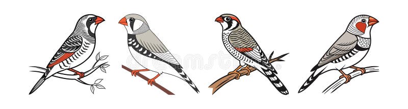 Dynamic Burchells Zebra Finch Bird Artwork royaltyfri illustrationer