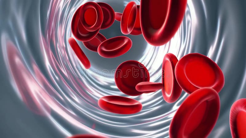 Dynamic flow of red blood cells through a vascular tunnel in high resolution animation stock footage