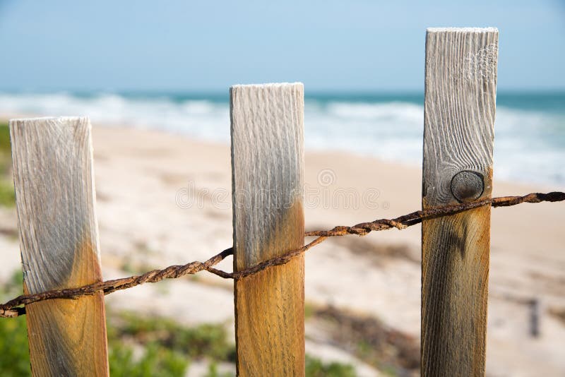 Dyner på stranden arkivfoton Dyner på stranden arkivfoton