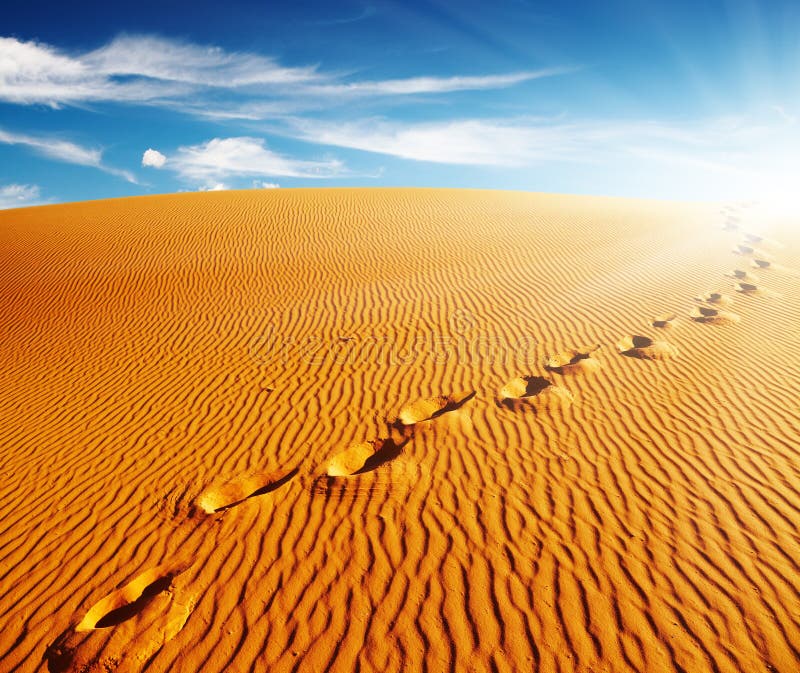 Footprints on sand dune, Sahara Desert, Algeria. Footprints on sand dune, Sahara Desert, Algeria