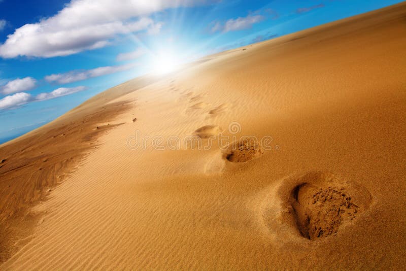 Desert concept, footprints on sand dune. Desert concept, footprints on sand dune
