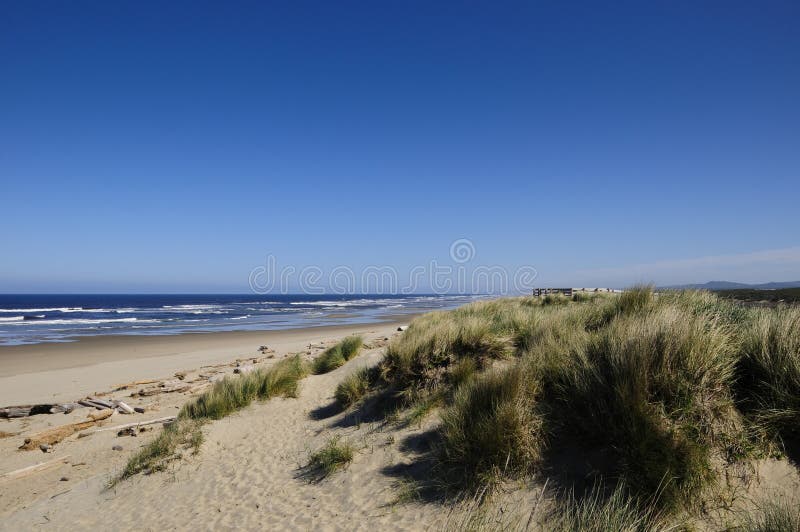 Sanddyner royaltyfri fotografi