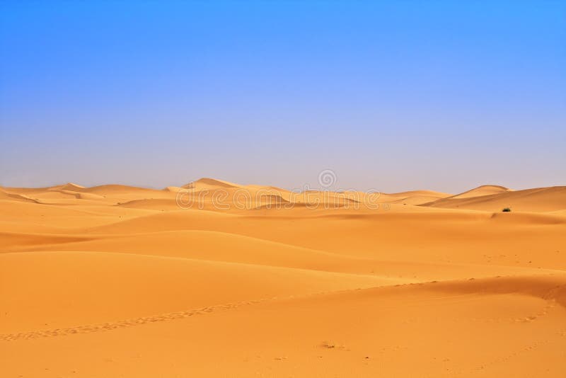 Wide view of sand dunes, footsteps in foreground. Wide view of sand dunes, footsteps in foreground