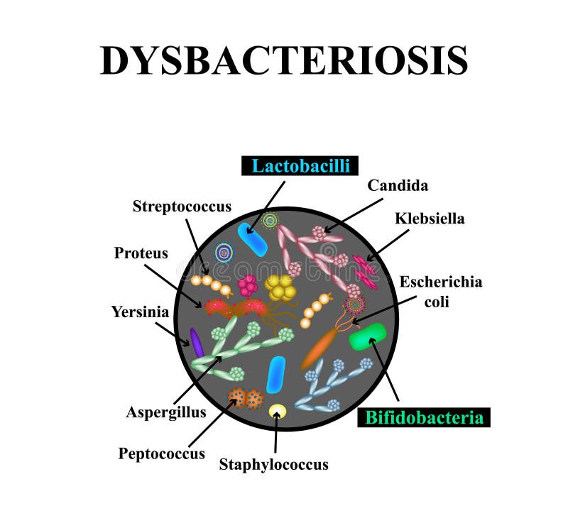 dysbacteriosis