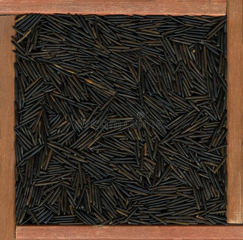 Black long grain wild rice in a rustic wooden frame or box. Black long grain wild rice in a rustic wooden frame or box