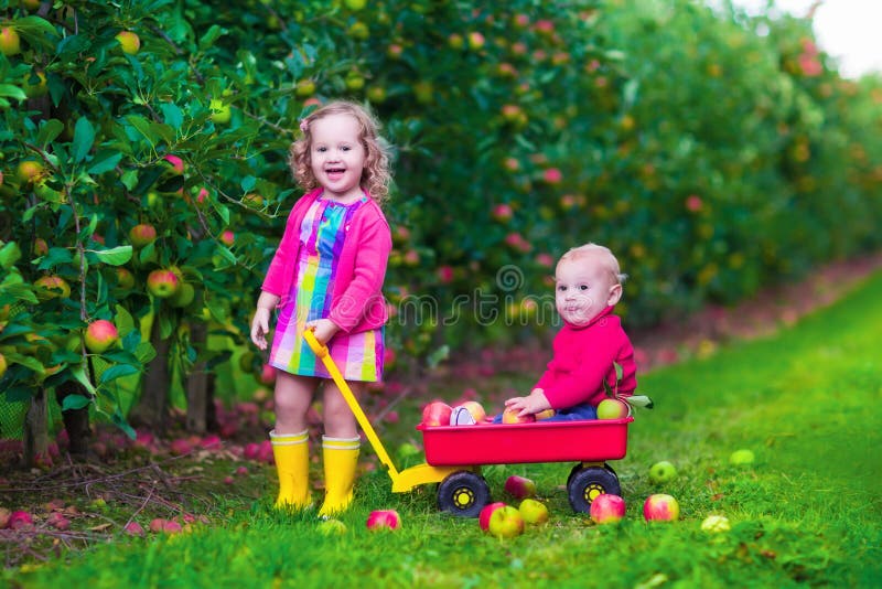 Dzieciaki podnosi jabłka na gospodarstwie rolnym fotografia stock Dzieciaki podnosi jabłka na gospodarstwie rolnym fotografia stock