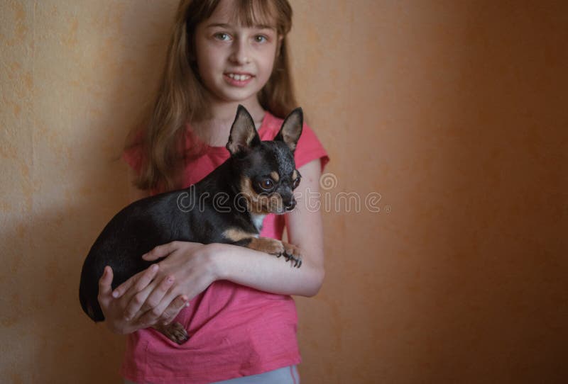 Dziecko bawi się małym psem, czarnym owłosionym pieskiem chihuahua