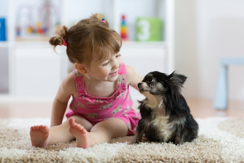 Dziecko dziewczyna z małego psa czerni chihuahua kosmatym doggy