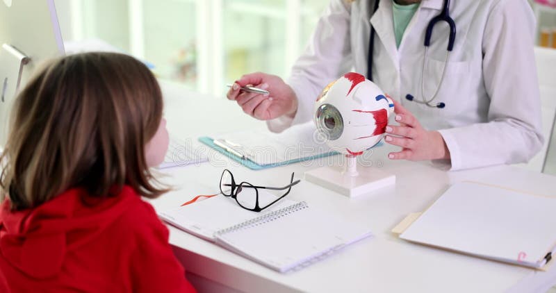 Dziecko patrzy na anatomiczny model oka na okulistę