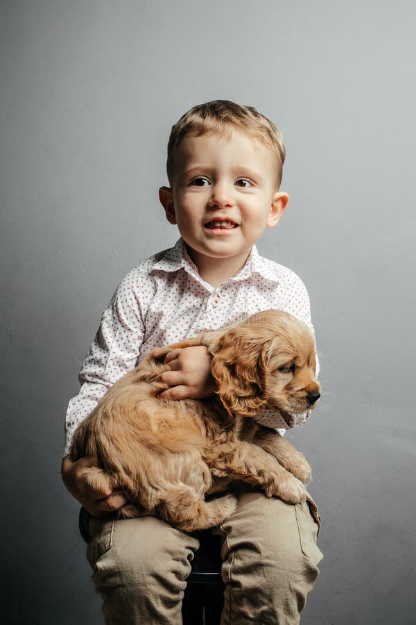 Dziecko w koszuli z zabawnym białym psem w rękach. słodcy przyjaciele z miłości. puppy piesek angielski cocker spaniel z chłopcem zdjęcia stock