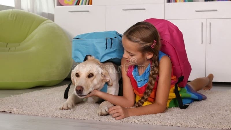Dziewczyna bawić się z psem ubierającym dla szkoły