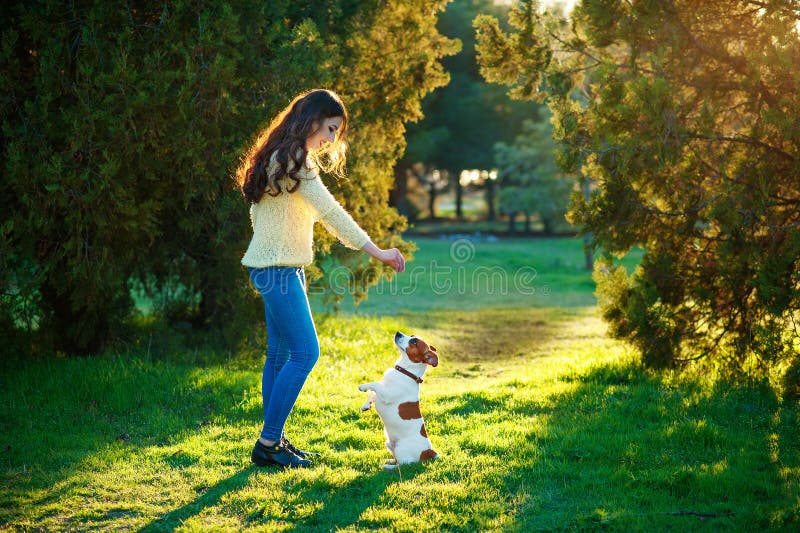 Dziewczyna bawić się z psim Jack Russell Terrier na naturze fotografia stock Dziewczyna bawić się z psim Jack Russell Terrier na naturze fotografia stock
