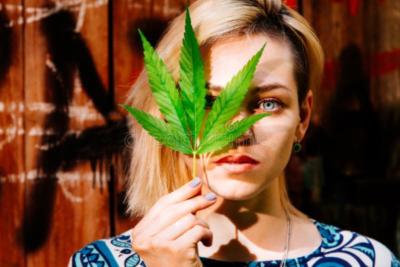 Dziewczyna z marihuana liściem blisko jej twarzy zdjęcia stock Dziewczyna z marihuana liściem blisko jej twarzy zdjęcia stock