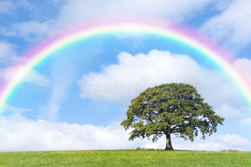 Dzień rainbow obrazy stock