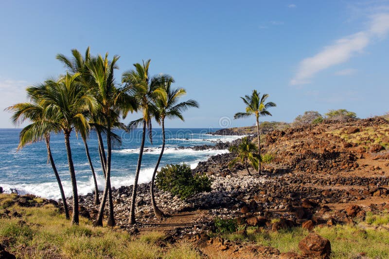The Wild Hawaiian Beach made of seashells and lava, Big Island of Hawaii, USA. The Wild Hawaiian Beach made of seashells and lava, Big Island of Hawaii, USA