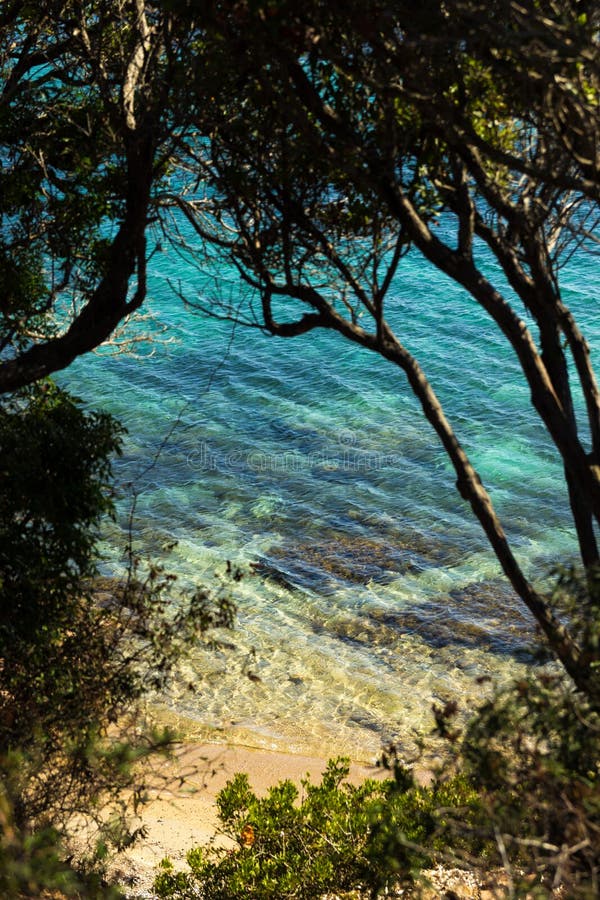 Dzika plaża z jasną błękitne wody w Corsica, zdjęcia royalty free Dzika plaża z jasną błękitne wody w Corsica, zdjęcia royalty free
