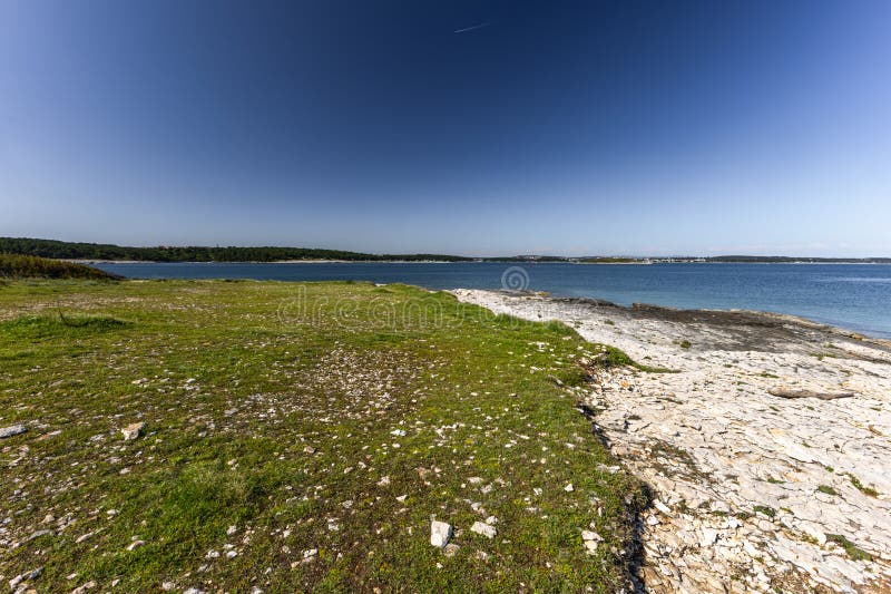 Dzika przyroda i roślinność w sezonie letnim na Półwyspie Kamenjak Istria zdjęcie royalty free