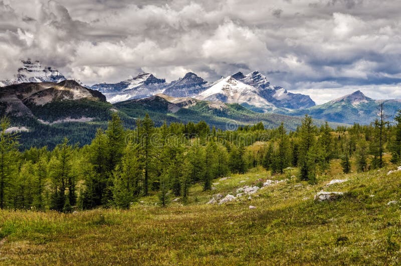 Dziki krajobrazowy pasmo górskie widok, Banff park narodowy, Kanada zdjęcie stock Dziki krajobrazowy pasmo górskie widok, Banff park narodowy, Kanada zdjęcie stock
