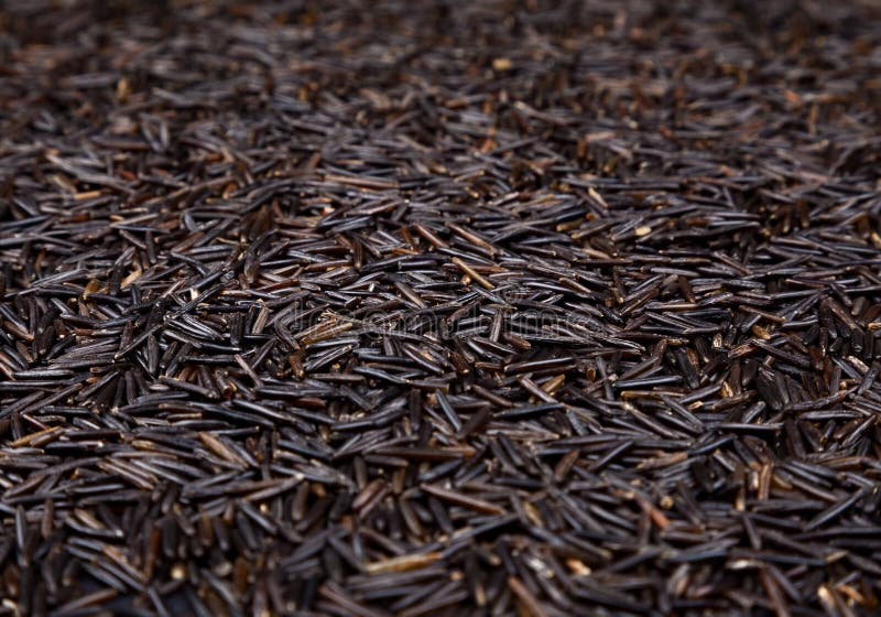 Seeds of wild rice. Shallow depth of field. Seeds of wild rice. Shallow depth of field