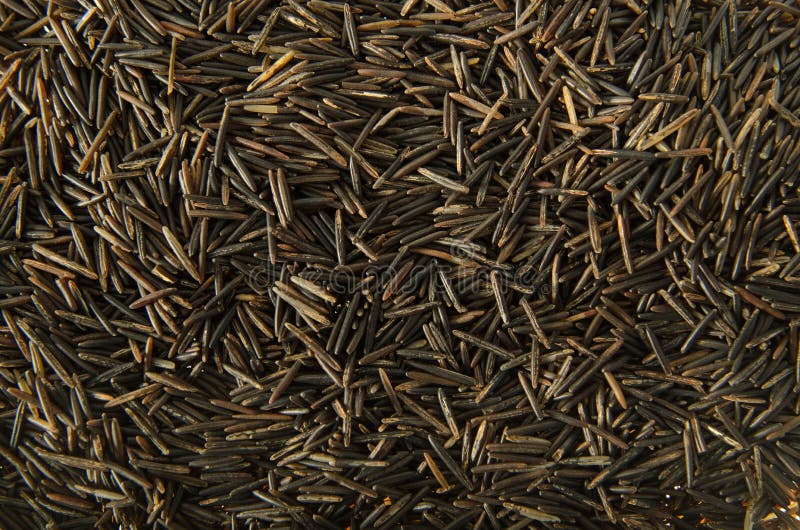 A background image of wild rice grains. A background image of wild rice grains