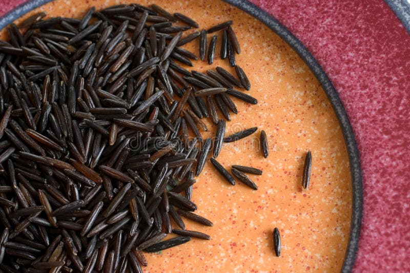 Closeup of wild rice on plate. Closeup of wild rice on plate