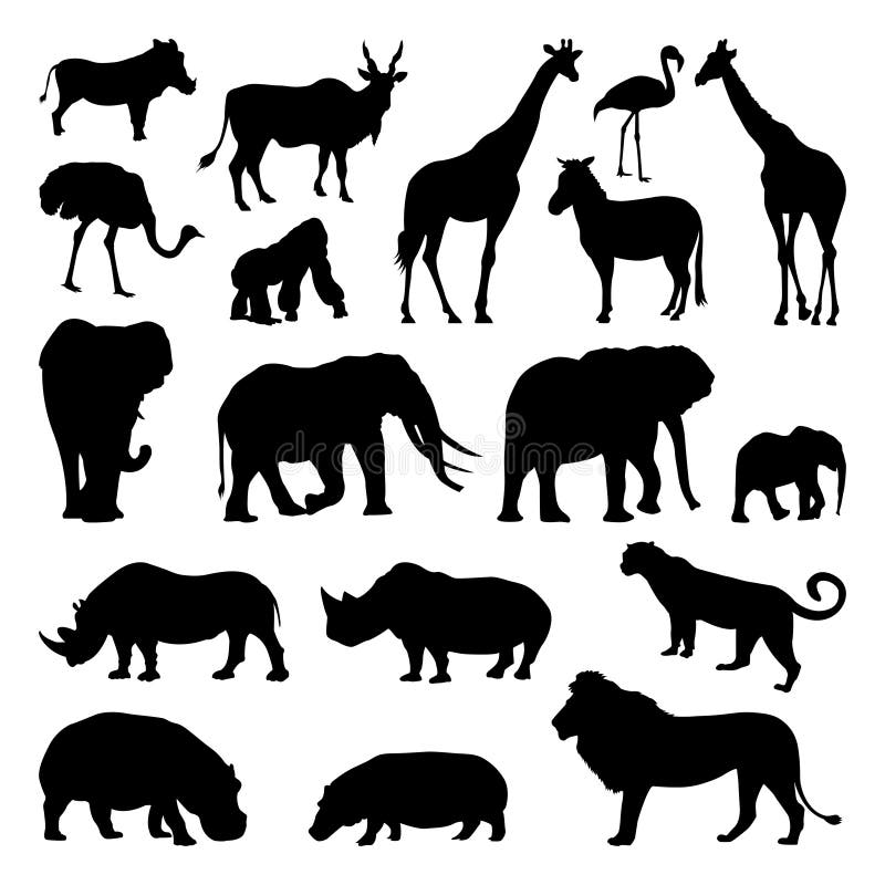 Dzikie afrykańskie zwierzę sylwetki ustawiać Zoo wektorowe ilustracje odizolowywają royalty ilustracja Dzikie afrykańskie zwierzę sylwetki ustawiać Zoo wektorowe ilustracje odizolowywają royalty ilustracja