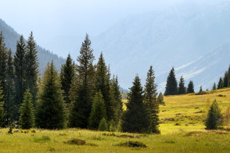 Dzungarian Alatau mountains, Kazakhstan