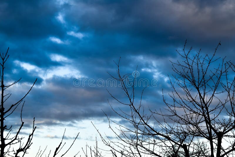 Dämmerung - bewölkte Himmel mit Baumschattenbildern stockfoto Dämmerung - bewölkte Himmel mit Baumschattenbildern stockfoto