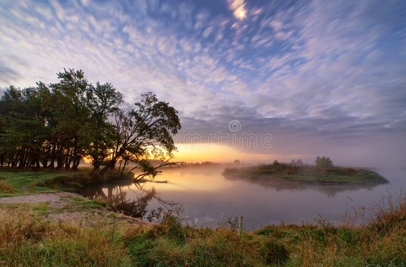 Dämmerung, nebelhafter Morgen auf Fluss Fantastischer nebeliger Fluss mit Eichen an