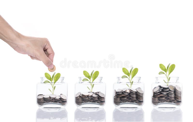 Dé el concepto del dinero del ahorro, mano del negocio que pone el árbol creciente de la pila de la moneda del dinero en la hucha fotos de archivo Dé el concepto del dinero del ahorro, mano del negocio que pone el árbol creciente de la pila de la moneda del dinero en la hucha fotos de archivo