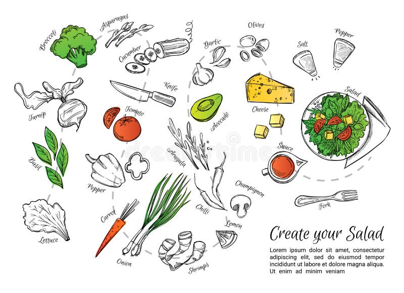 Dé el ejemplo exhausto del vector de la ensalada fresca con las verduras, c ilustración del vector